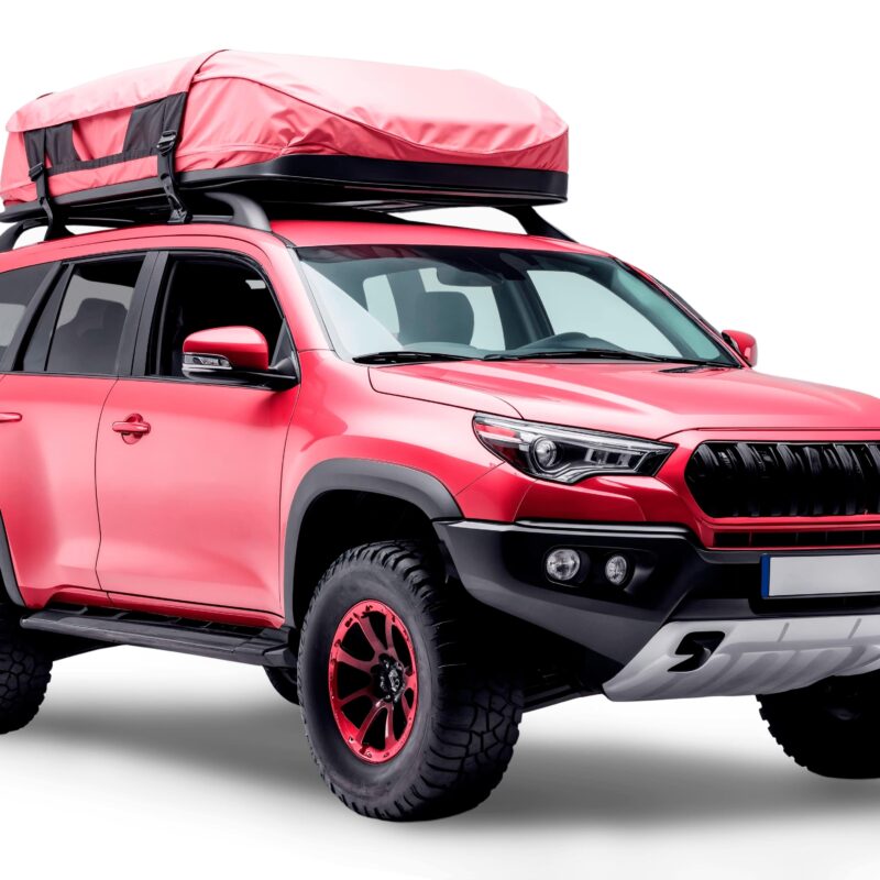 common problems with 2024 Toyota LandCruiser Prado​