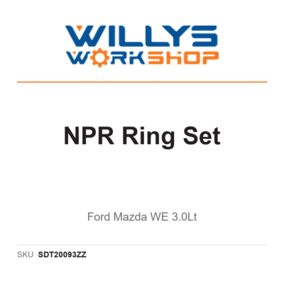 NPR Ring Set | Ford Mazda WE 3.0Lt
