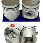 Piston & Ring Set - Mitsubishi 4M40T 8V Non C/R