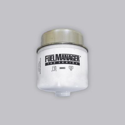 Fuel Manager Post-Filter Replacement Element – 2 Micron (36693)