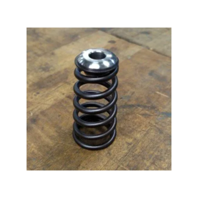 Manton Pressure Tower 24v Cummins Valve Spring Kit
