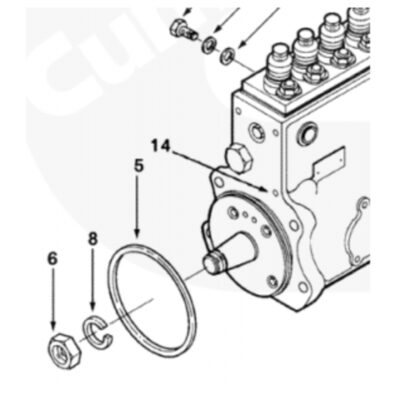 P Pump Front Seal D Ring for 94-98 P Pumped Trucks