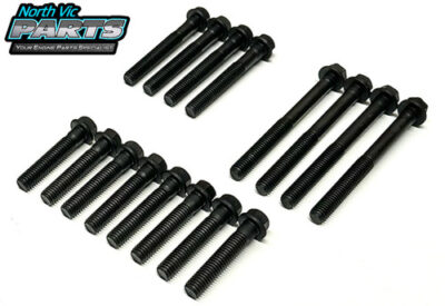 NPR Ring Set - Holden 3.8 Buick Ecotec