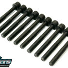 Victor Reinz Head Bolt Set - Holden X18XE C20SE F18D3