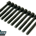 Victor Reinz Head Bolt Set - Holden X18XE C20SE F18D3