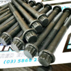 Engine Rebuild Kit - Toyota 1KZ & 1KZ-TE