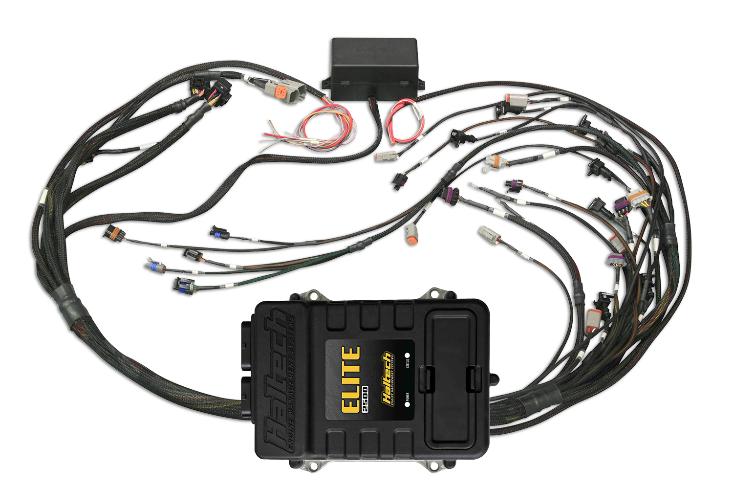 Elite 2500 + GM GEN III LS1 & LS6 non DBW