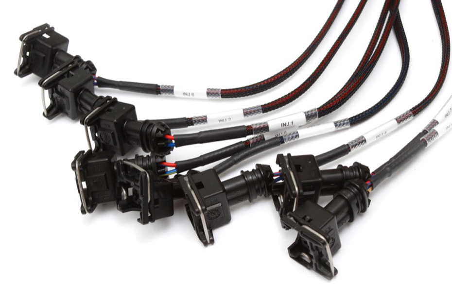 Elite 2500 + GM GEN III LS1 & LS6 non DBW