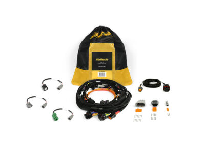Nexus Rebel JZ – Main Terminated Harness