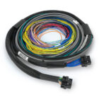Nexus S2 ECU + Universal Wire-in Harness - 2.5m (8 3 Nexus S2 ECU + Universal Wire-in Harness – 2.5m (8