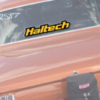 Haltech Logo Colour Sticker – Yellow