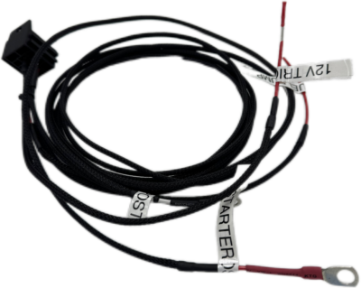 Fuel Pump wiring loom with 40 amp relay