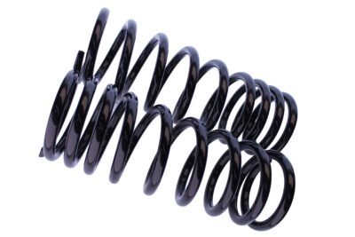 WCS 2" Heavy-Duty Coil Springs for Land Rover Range Rover/Discovery (1999-2004) [100-250kg]