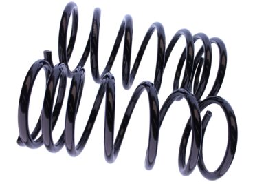 WCS 2" Coil Springs for Mitsubishi Pajero LWB (1998-2008) [100kg]