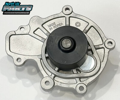 Genuine Water Pump Gasket | Holden Z20S1