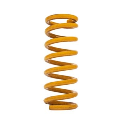 Tough Dog 2" Coil Springs for Ford F-150 (2021 on) [No Acc]