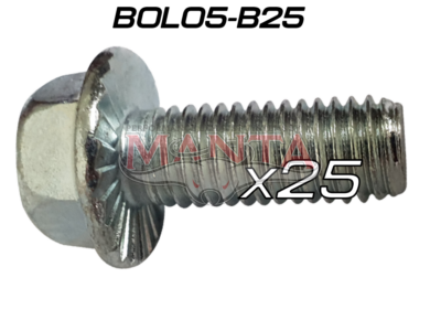(Pack 25) 14mm Head 25mm x 10mm x 1.5p (Nissan Patrol, D22, Falcon Extractor Bolt)
