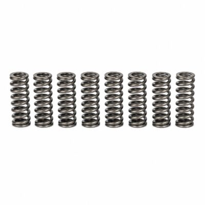 Representative image of valve spring