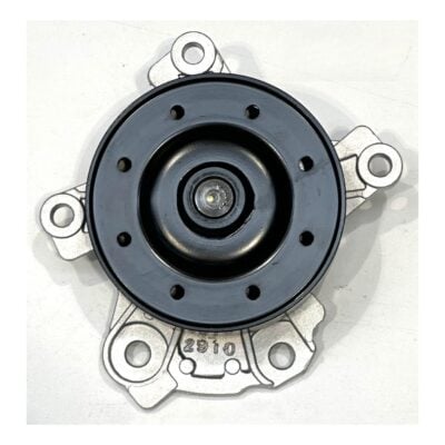 Genuine Water Pump Gasket | Toyota 1ZR-FAE 2ZR-FE